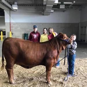 Meet your Posher, Bailey